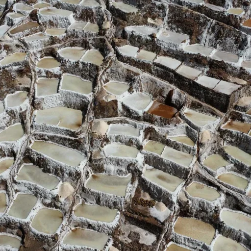 7a5740d0-5c3f-4747-8ed1-38639d3f6237