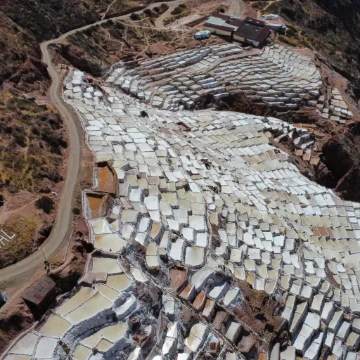 WhatsApp Image 2024-08-18 at 6.58.17 PM