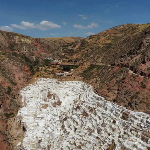 WhatsApp Image 2024-08-18 at 6.58.37 PM