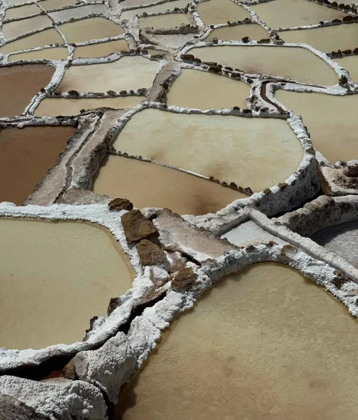 e2d26336-e8e3-4e48-9ae8-d6b829bb4543